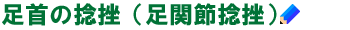 足首の捻挫　（足関節の捻挫）