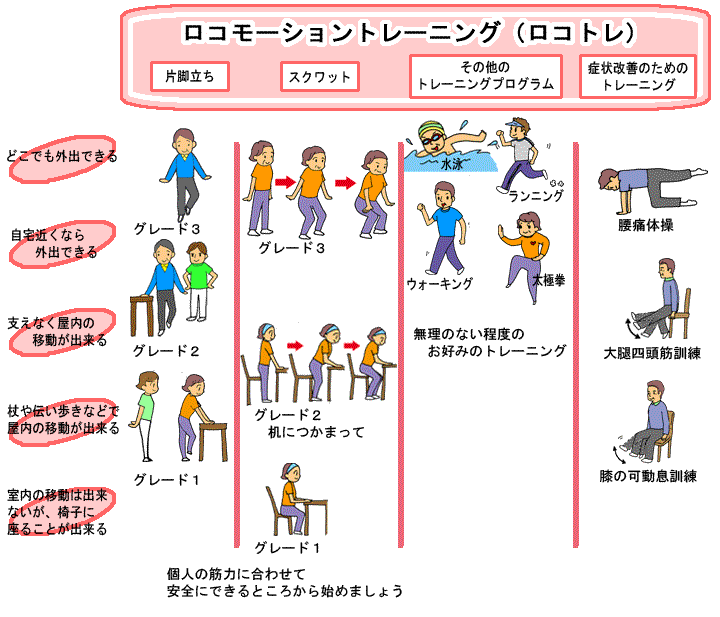 ロコモーショントレーニング