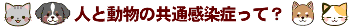 人と動物の共通感染症